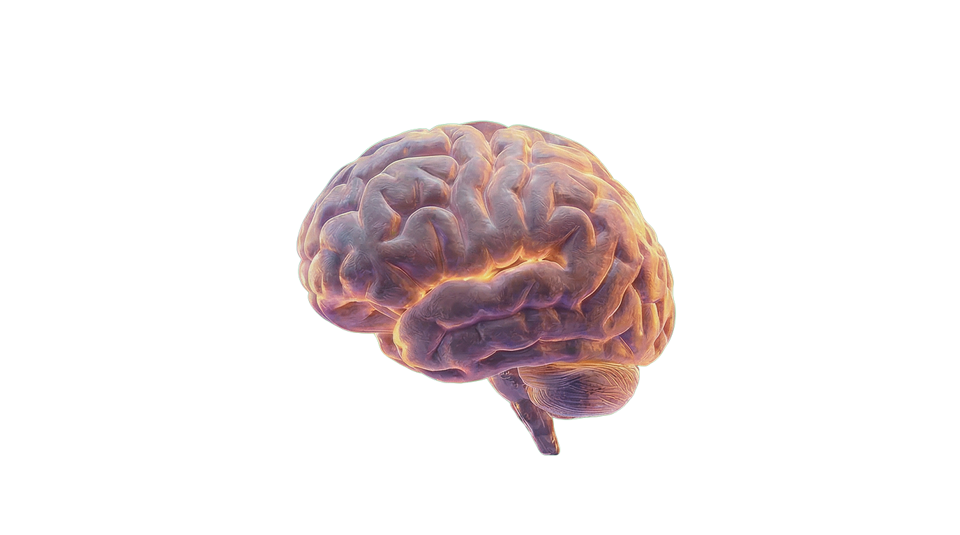 AI Brain